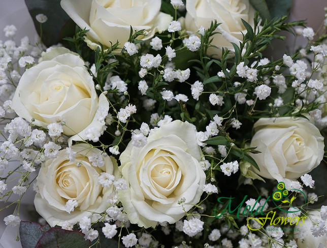 Букет из белых роз и гипсофилы Фото